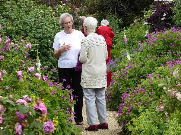 A floral discussion.JPG